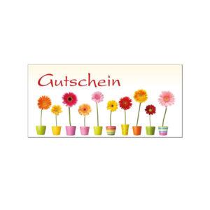 Auf einem hellgelben Verlauf im Hintergrund stehen nebeneinander bunte Töpfe mit je einer bunten Gerbera darin. Darüber steht der Text "Gutschein".
