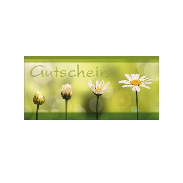 shop bilder produkte gutscheinkarte butterblume