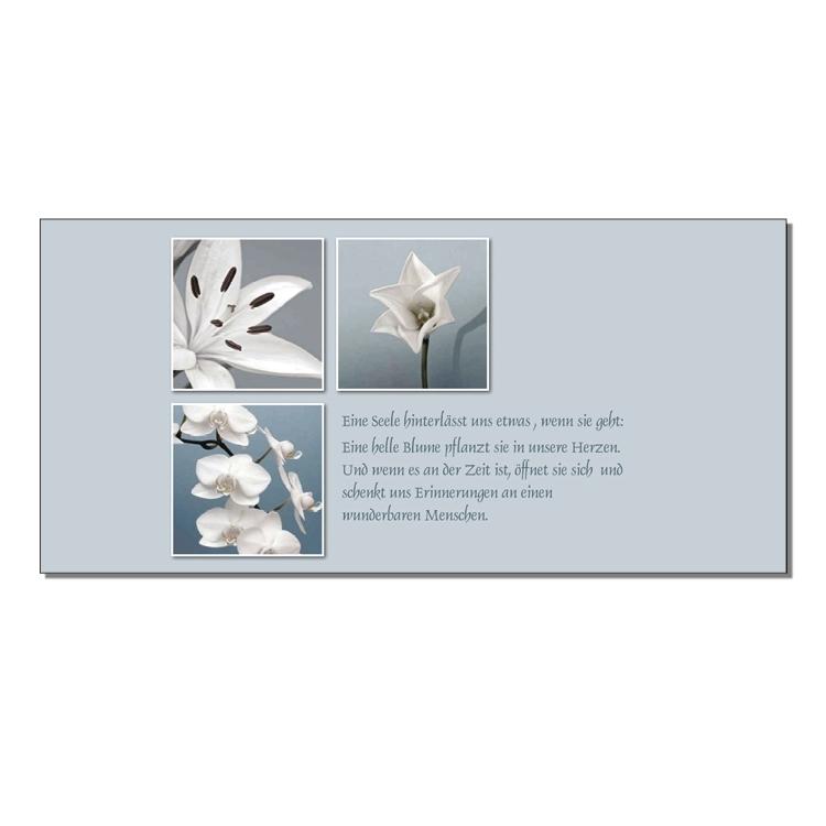 Auf grauem Hintergrund sind drei Quadrate angeordnet mit Bildern von weißen Blumen. Daneben steht ein Text "Eine Seele hinterlässt uns etwas, wenn sie geht: Eine helle Blume pflanzt sie in unseren Herzen. Und wenn es an der Zeit ist, öffnet sie sich und schenkt uns Erinnerungen an einen wunderbaren Menschen.