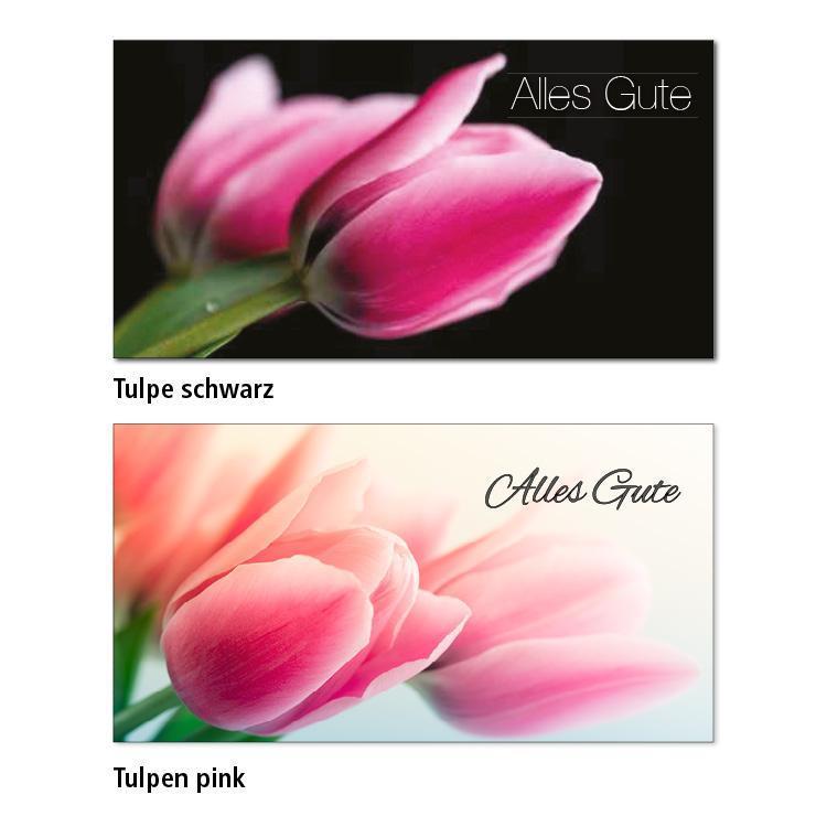 Zwei Geburtstagskarten-Motive Tulpe schwarz: Auf einem schwarzen Hintergrund sind zwei pinke Tulpen abgebildet. Im rechten oberen Eck steht "Alles Gute" in weißer Schrift. Tulpe pink: Eine leicht geöffnete Pinke Tulpe ist vor meherern unscharfen Tulpen im Hintergrund zu sehen. In schwarzer Schrift steht rechts oben "Alles Gute"