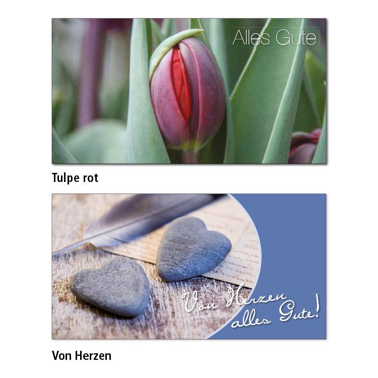 Zwei Geburtstagskarten-Motive Tulpe rot: Auf einer Nahaufnahme einer noch geschlossenen roten Tulpenknospe mit grünen Blättern, steht rechts oben "Alles Gute". Von Herzen: Auf einem blaugrauem Hintergund ist von der linken Seite ein Foto in einem Halkreis von zwei Steinherzen auf einer Holzplatte zu sehen. Im rechten unteren Eck steht "Von Herzen alles Gute!"
