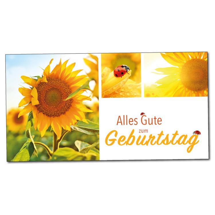 Links ein Bild einer Sonnenblume. Rechts daneben in zwei kleineren Fotos sind ein Marienkäfer auf einer Sonnenblume und eine Sonnenblume mit Sonnenschein zu sehen. Darunter steht der Text "Alles Gute zum Geburtstag"