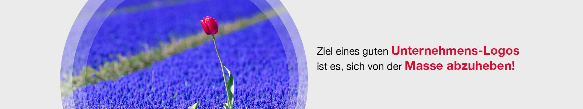 Banner mit einer roten Blume in einer Blauen Wiese und Text auf grauem Hintergrund "Ziel eines guten Unternehmens-Logos ist es, sich von der Masse abzuheben!"